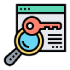 Search Engine Optimization (SEO & Local SEO)
